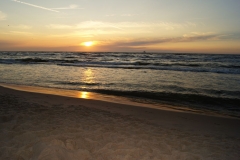 SONY DSC
