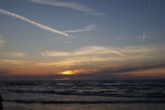 SONY DSC