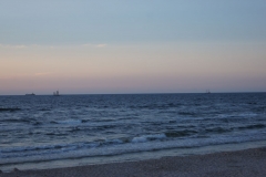 SONY DSC